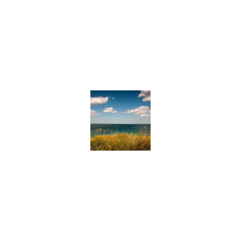 Samsung QLED 65 Q80